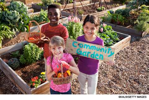 three racially diverse children working at a community garden